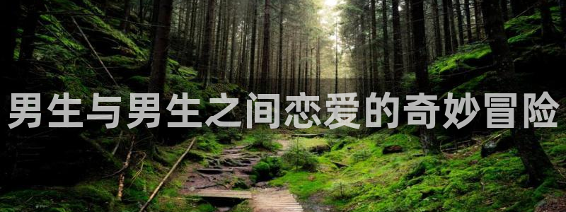 yy漫画首页登录入口在哪里